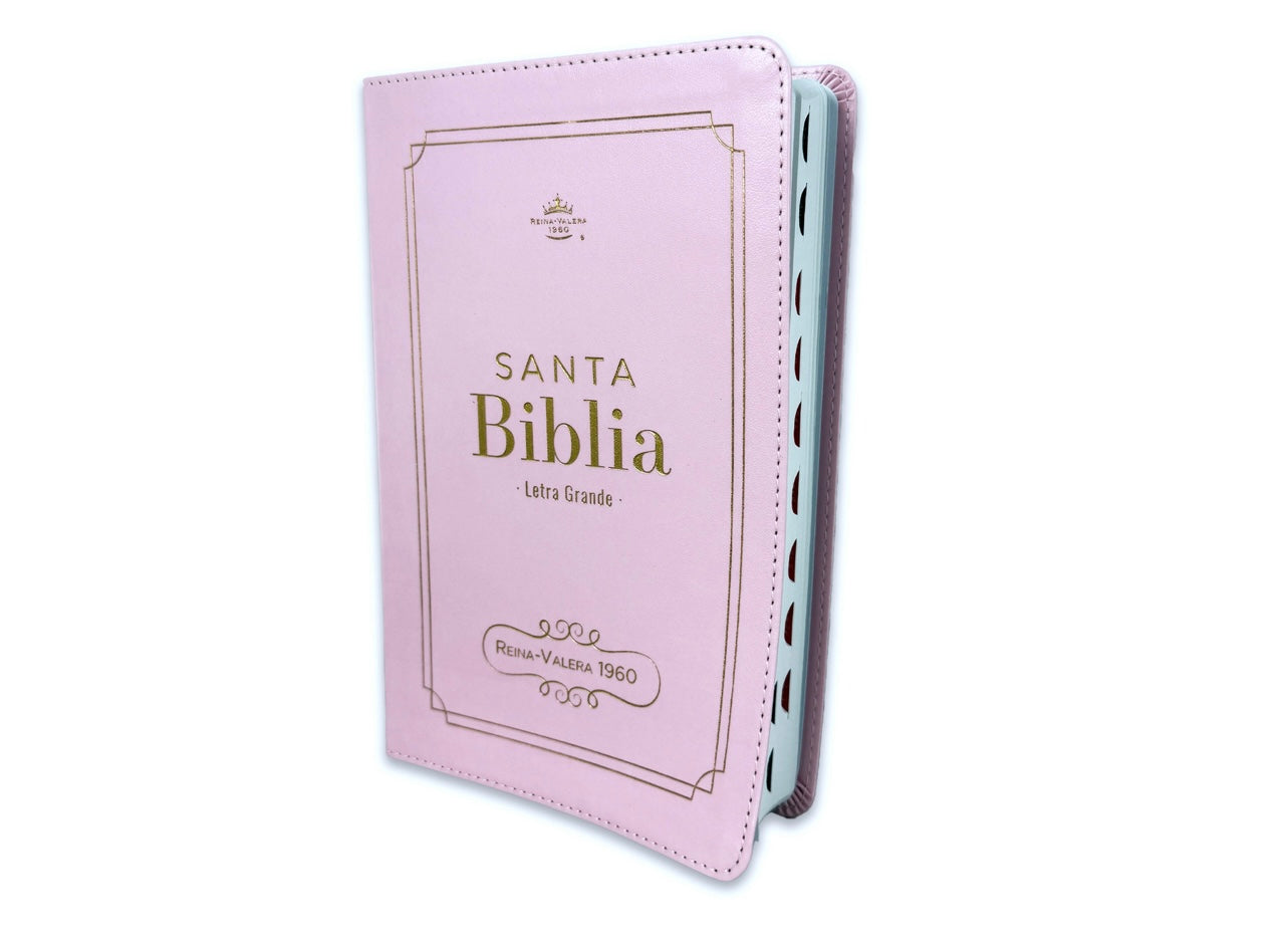 Biblia Rosita Reina Valera