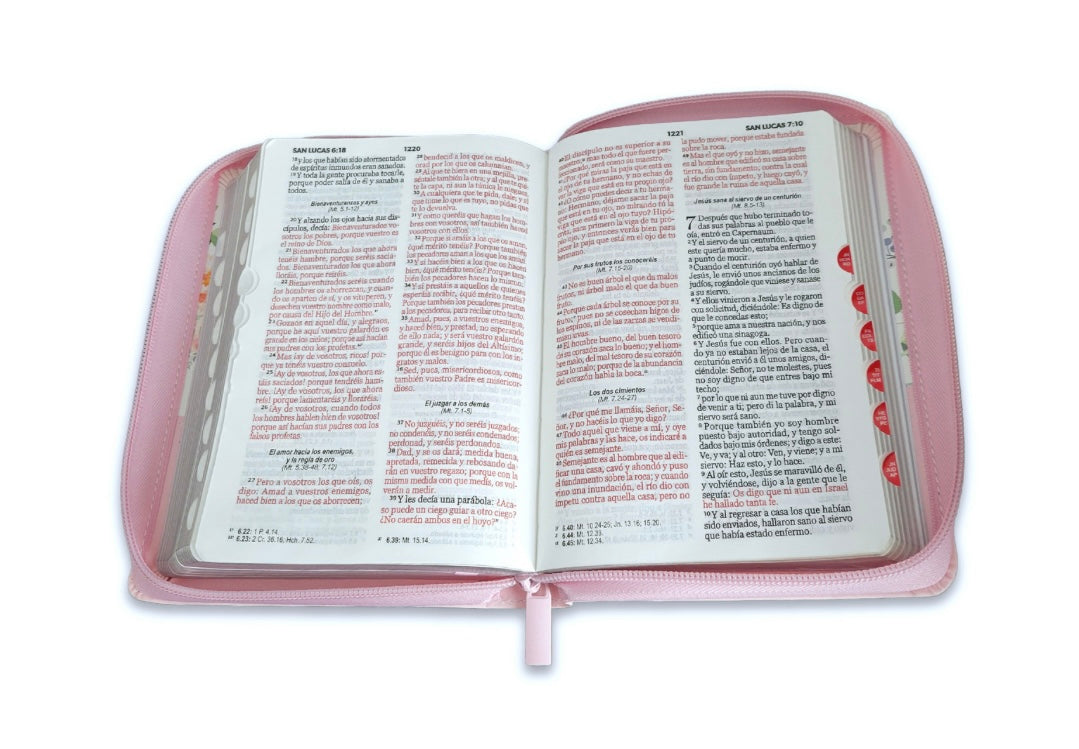 Biblia Mujer Virtuosa (10 Pts)