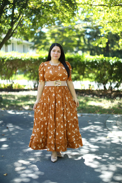 Brown Beige Maxi Dress