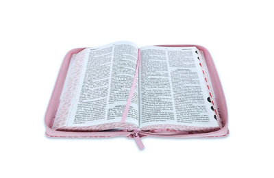 Biblia Mujer Virtuosa