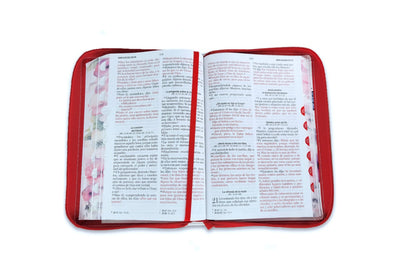 Biblia Mariposas Carterita