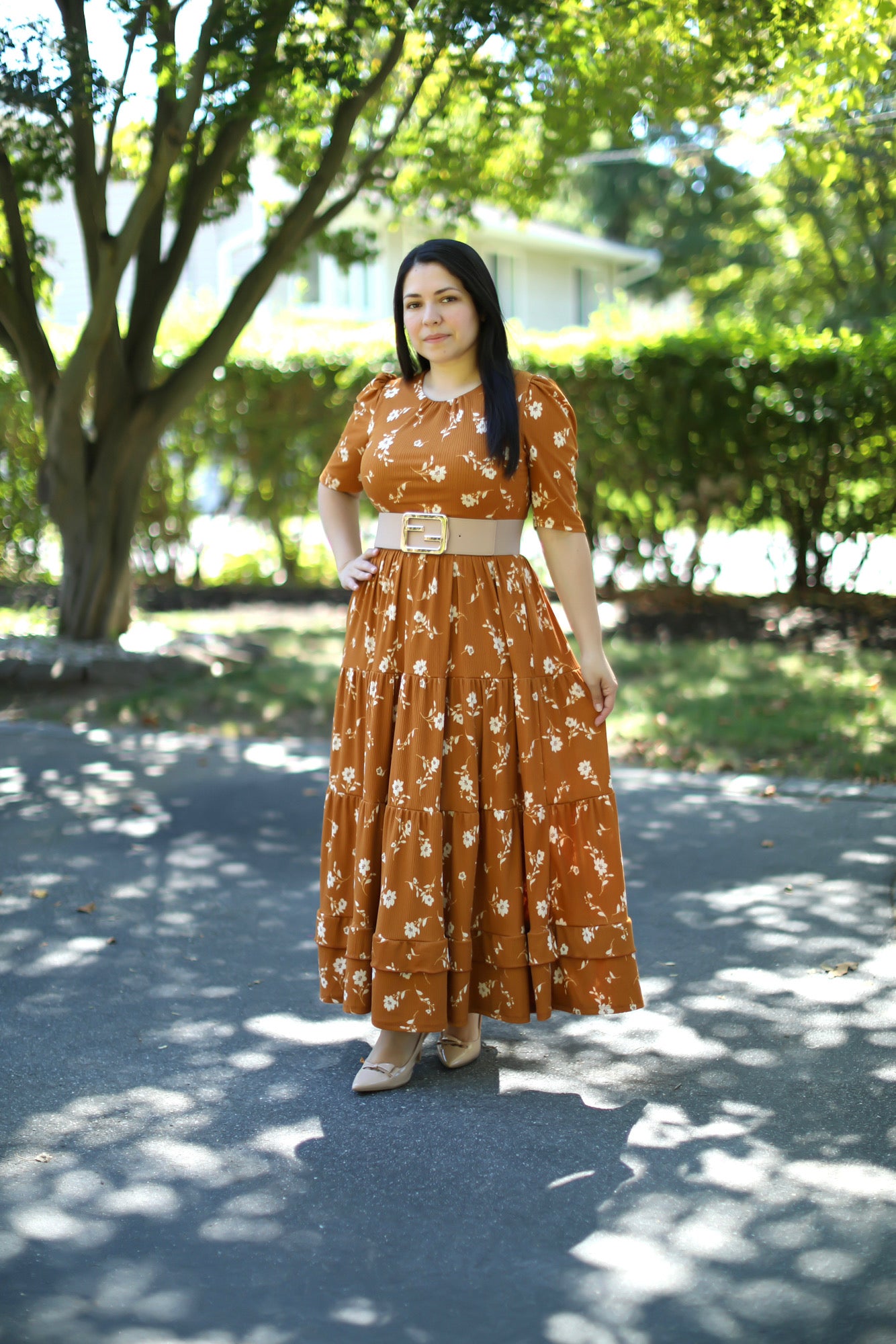 Brown Beige Maxi Dress