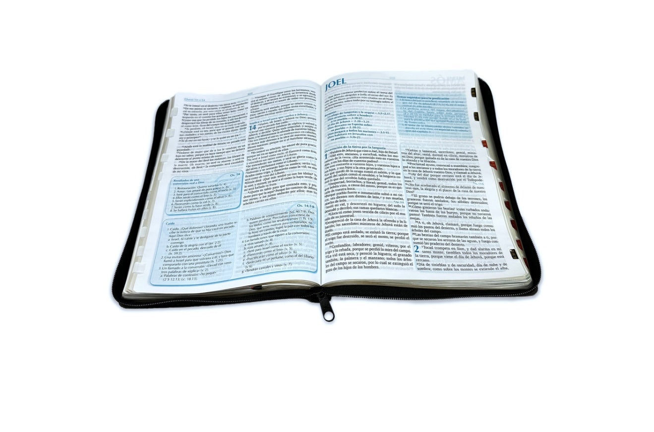 Biblia Para La Predicacion