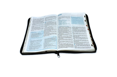 Biblia Para La Predicacion