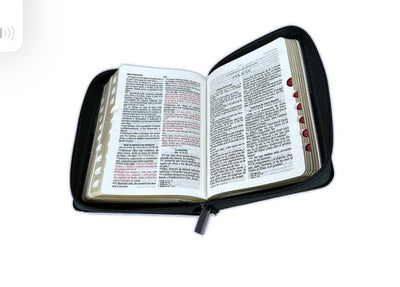 Biblia Leon de bolsillo