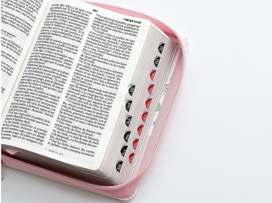 Biblia Mujer Virtuosa (10 Pts)