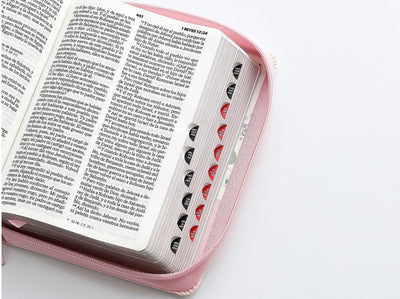 Biblia Mujer Virtuosa (10 Pts)
