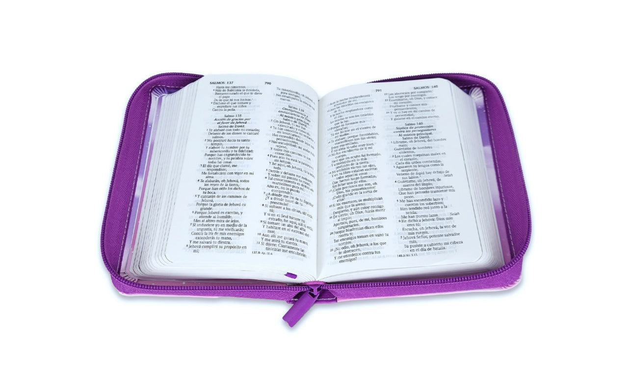 Biblia Biblia Princesa