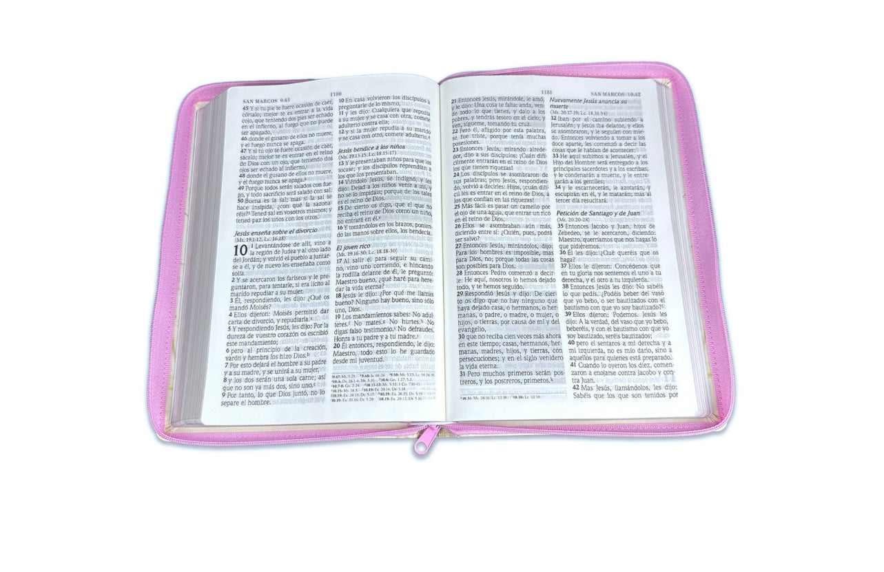 Biblia de promesas para mujeres