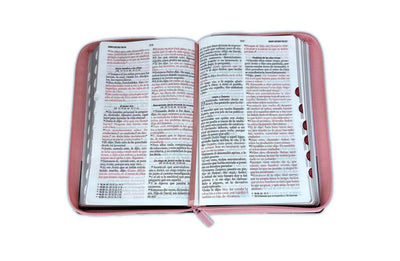 Biblia Corazon Blush