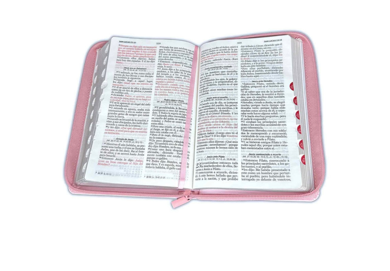 Biblia Mujer Virtuosa