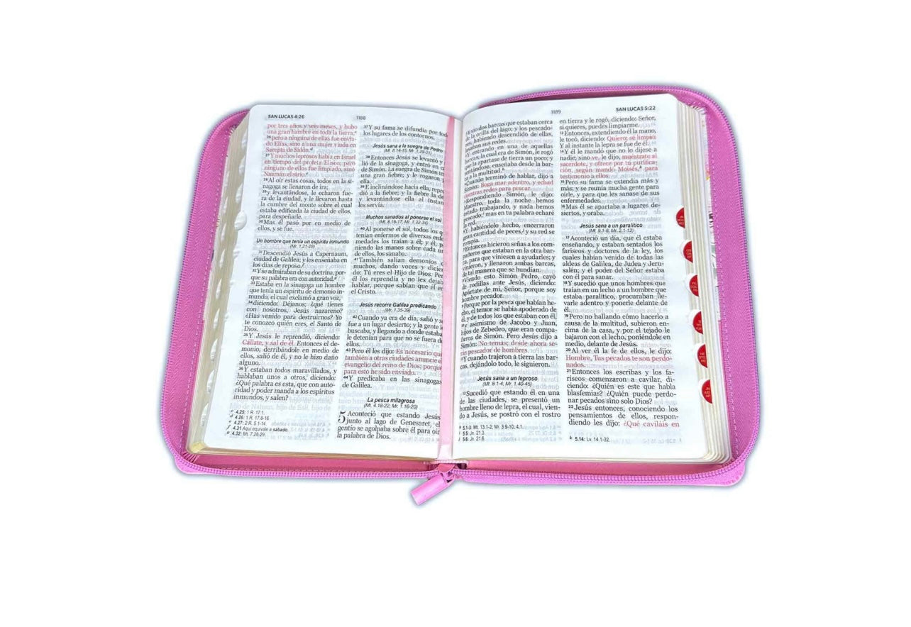 Biblia Pink Flowers